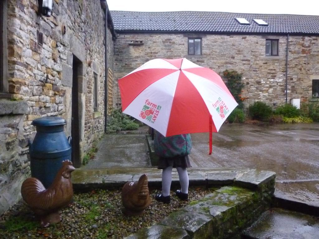 Rye Hill Farm Bed and Breakfast Hexham Exteriör bild