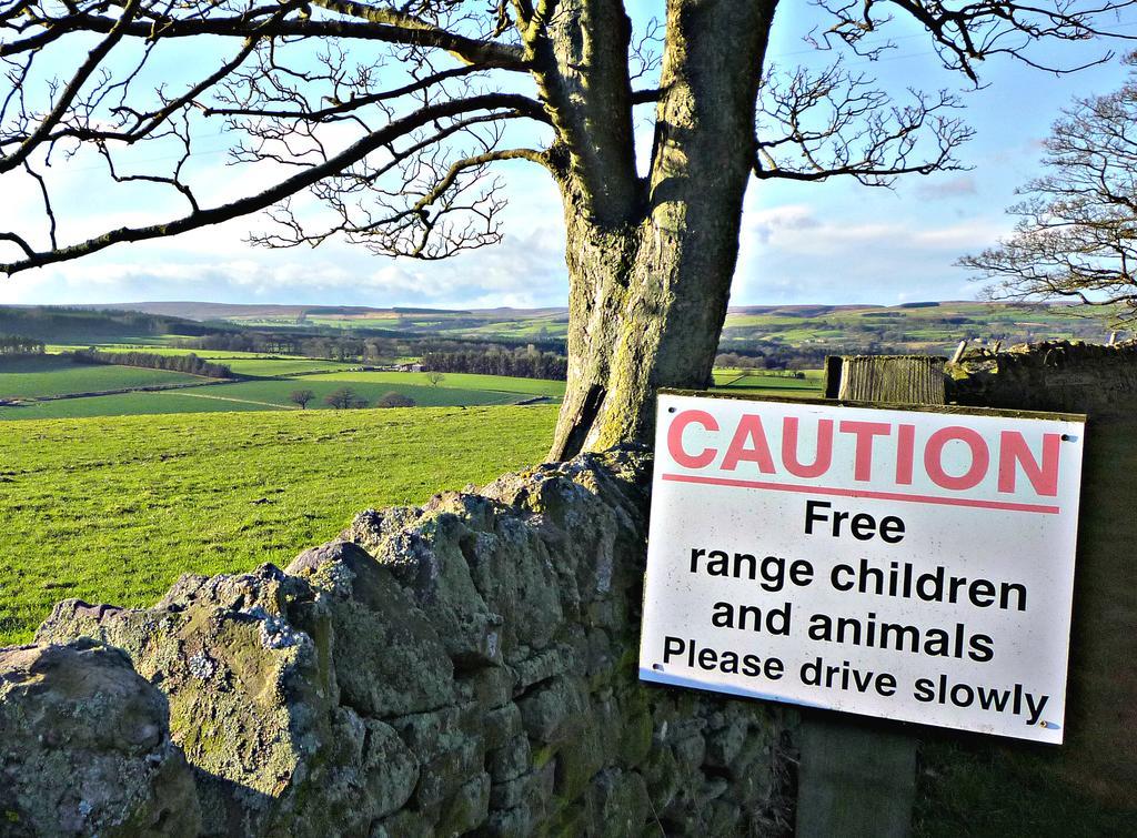 Rye Hill Farm Bed and Breakfast Hexham Exteriör bild